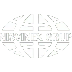 Logo Nisvinex Grup