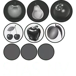 Logo STAS NV